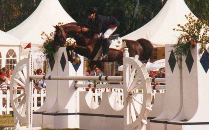 Concours complet d'équitation (CCE)