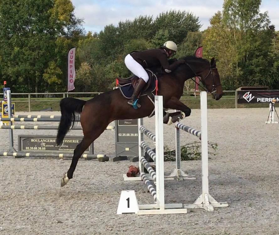 Concours de saut d’obstacles (CSO)