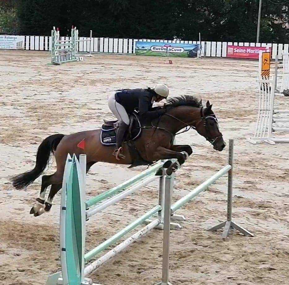 Écuries Destiny’s dans les concours hippique
